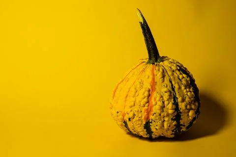 Pumpkin Stock Photos
