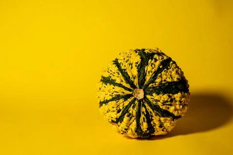 Pumpkin Stock Photos