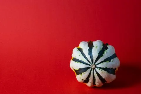 Pumpkin Stock Photos