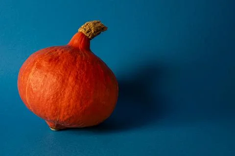 Pumpkin Stock Photos