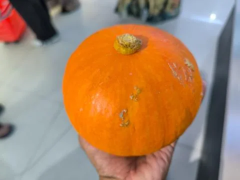 Pumpkin 스톡 사진