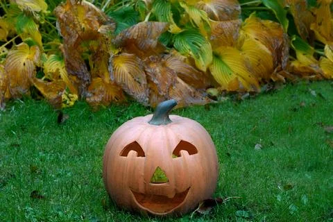 Pumpkin Foto stock