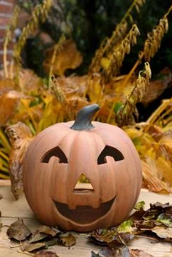 Pumpkin Foto stock