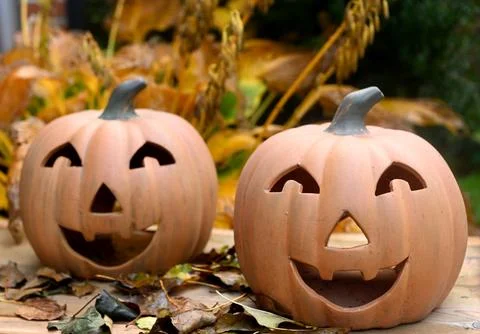 Pumpkin Photos