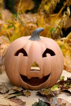 Pumpkin Foto stock