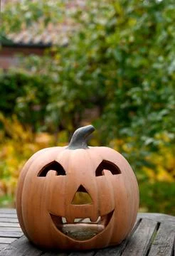 Pumpkin Foto stock