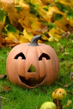 Pumpkin 库存照片