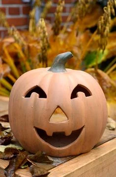 Pumpkin Foto stock