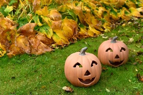 Pumpkin Foto stock