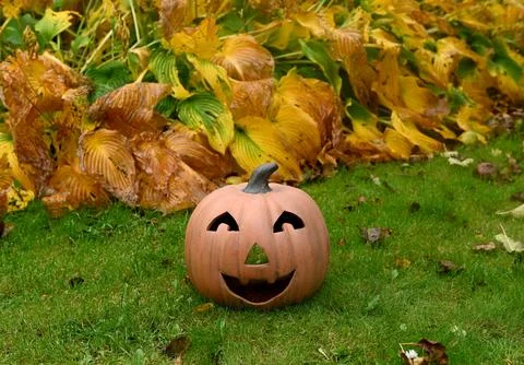 Pumpkin Photos