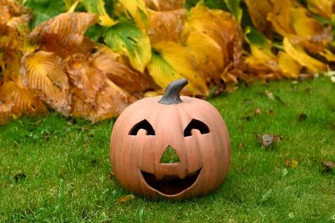 Pumpkin Photos