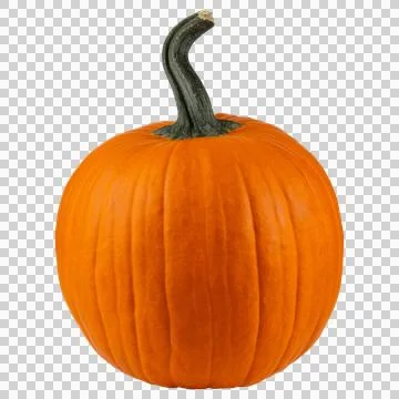 Pumpkin. Stock Photos