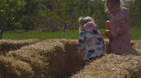 Pumpkin picking kids Vídeo Stock 58821137