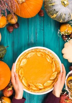 Pumpkin pie, different pumpkins, fall fruit Stock Photos