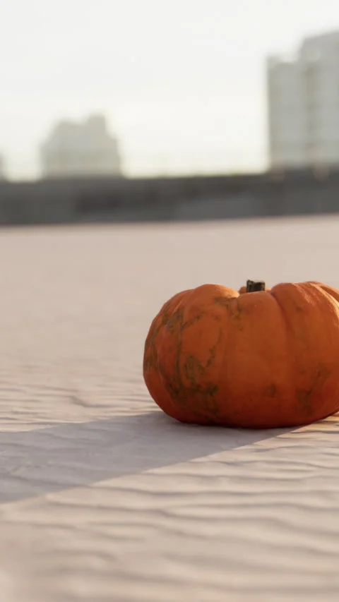 Pumpkin placed on sand with buildings in the background at sunset time Stock Footage 338419636