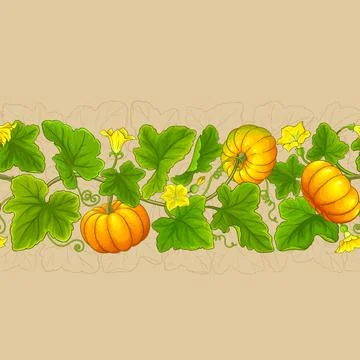 Pumpkin plant vector pattern on color background Stock Illustration