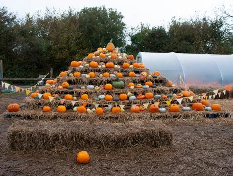 Pumpkin pyramid Stock Photos