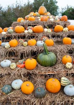 Pumpkin Pyramid Stock Photos