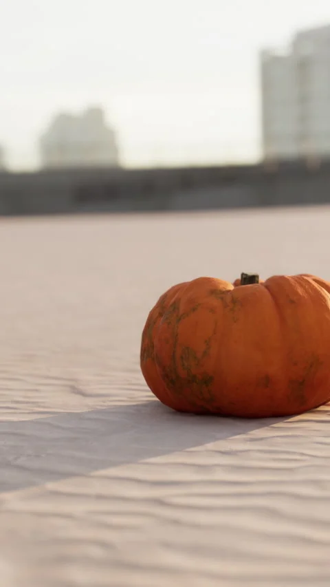 Pumpkin resting on a white surface during a sunny day in an outdoor setting Stock Footage 337936744