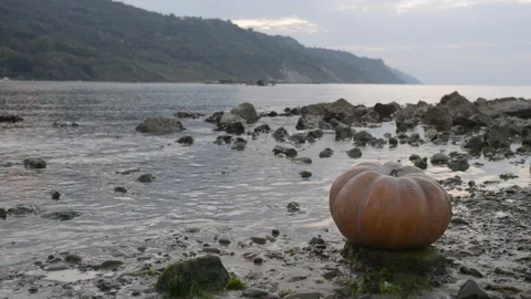 Pumpkin on the rock at sunset in the adriatic sea representing italian halloween Stock Footage 95111503