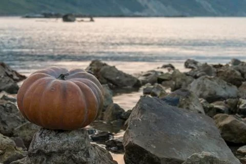 Pumpkin on the rock at sunset Foto stock