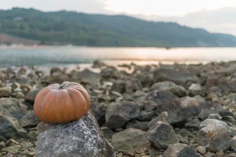 Pumpkin on the rock at sunset Stock Photos