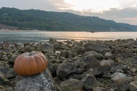 Pumpkin on the rock at sunset Stock Photos