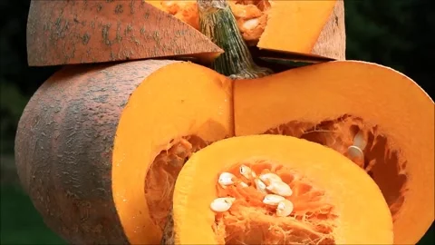 Pumpkin rotating, autumn vegetable, background Stock Footage 135536794