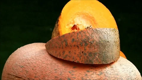 Pumpkin rotating, autumn vegetable, timelapse Stock Footage 90504277
