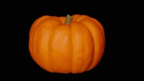 Pumpkin Rotating Fast, Black BG, Motion Control Video, Halloween, Commercial, #8 Stock Footage 140155637