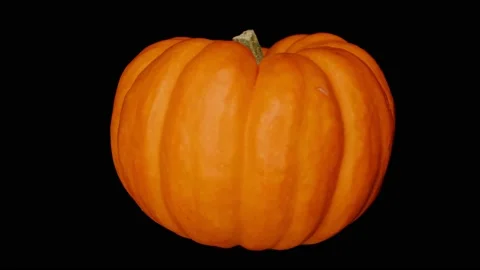 Pumpkin Rotating Fast, Black BG, Motion Control Video, Halloween, Commercial, #6 Stock-Footage 140156216
