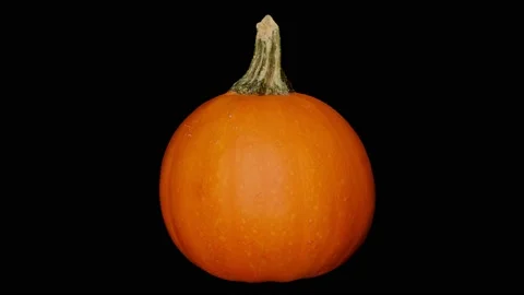 Pumpkin Rotating Fast, Black BG, Motion Control Video, Halloween, Commercial, #4 Stock-Footage 140157653