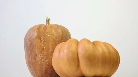 Pumpkin rotating Stock Footage 55507879