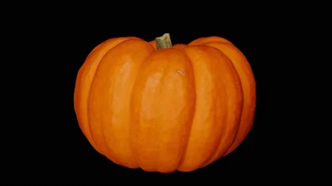 Pumpkin Rotating Slow, Black BG, Motion Control Video, Halloween, Commercial, #7 Stock Footage 140155407
