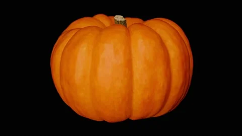 Pumpkin Rotating Slow, Black BG, Motion Control Video, Halloween, Commercial, #5 Stock Footage 140156034