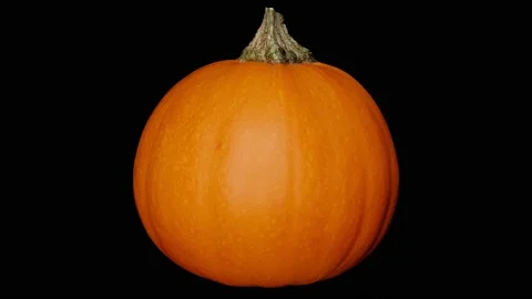 Pumpkin Rotating Slow, Black BG, Motion Control Video, Halloween, Commercial, #1 Stock Footage 140158272