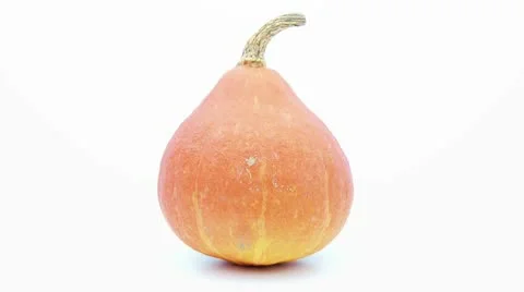 Pumpkin rotating on white background Stock Footage 8979070