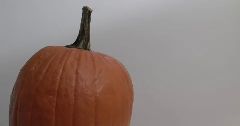 Pumpkin - Rotating - White Background - Screen Left Stock Footage 97808745