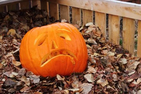 Pumpkin with sad face Stock Photos