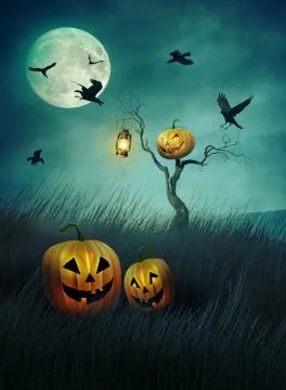 Pumpkin scarecrow in fields of  grass at night Illustrazione stock