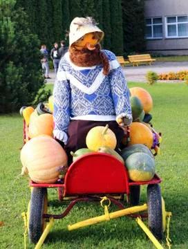 Pumpkin scarecrow Stock Photos