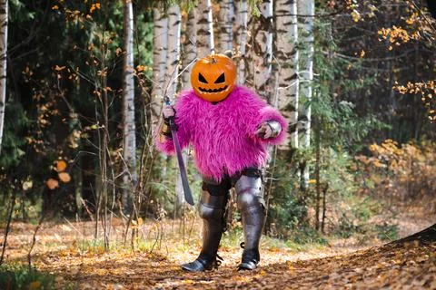 Pumpkin scarecrow Stock Photos