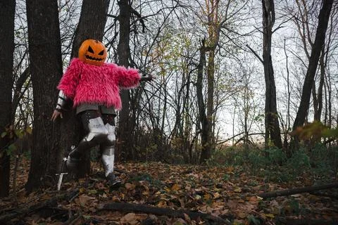 Pumpkin scarecrow Stock Photos