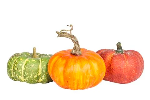 Pumpkin scene Stock Photos