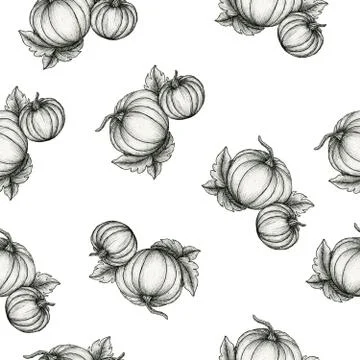 Pumpkin seamless background Stock Illustration