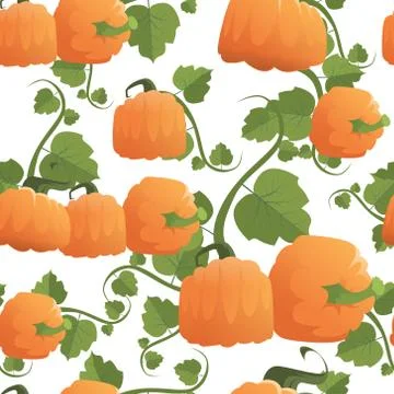 Pumpkin Seamless Pattern Background Autumn Harvest Concept Season Fall Ornament Stock Illustration