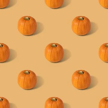 Pumpkin seamless pattern on a beige background. Vegetable pattern Stock Photos