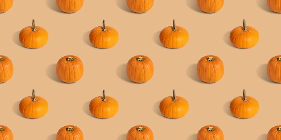 Pumpkin seamless pattern on beige background. Banner. Halloween pumpkin backg 스톡 사진