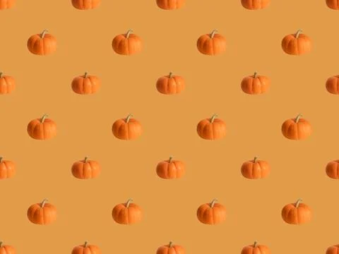 Pumpkin seamless pattern on orange background. Autumn pumpkin background. Illustrazione stock