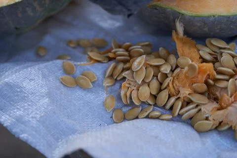 Pumpkin in section. View of the seeds. Macro effect Stock Photos